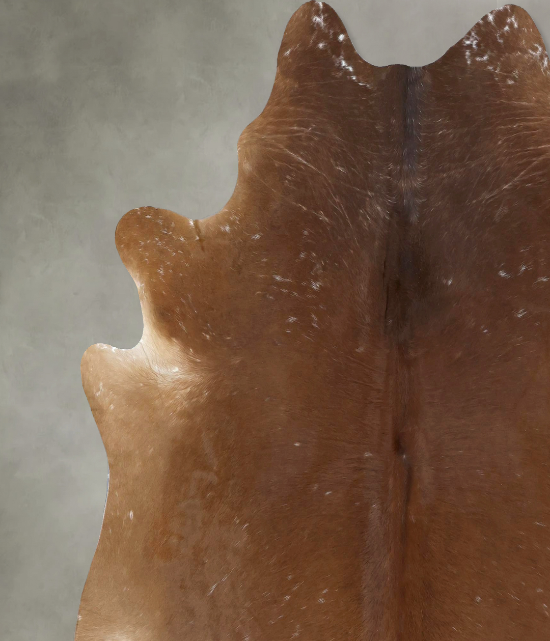 Solid Brown X-Large Brazilian Cowhide Rug 7'4"H x 6'9"W #B20937 by Hud