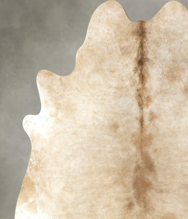Palomino X-Large Brazilian Cowhide Rug 7'1"H x 6'10"W #B20938 by Hudson Hides