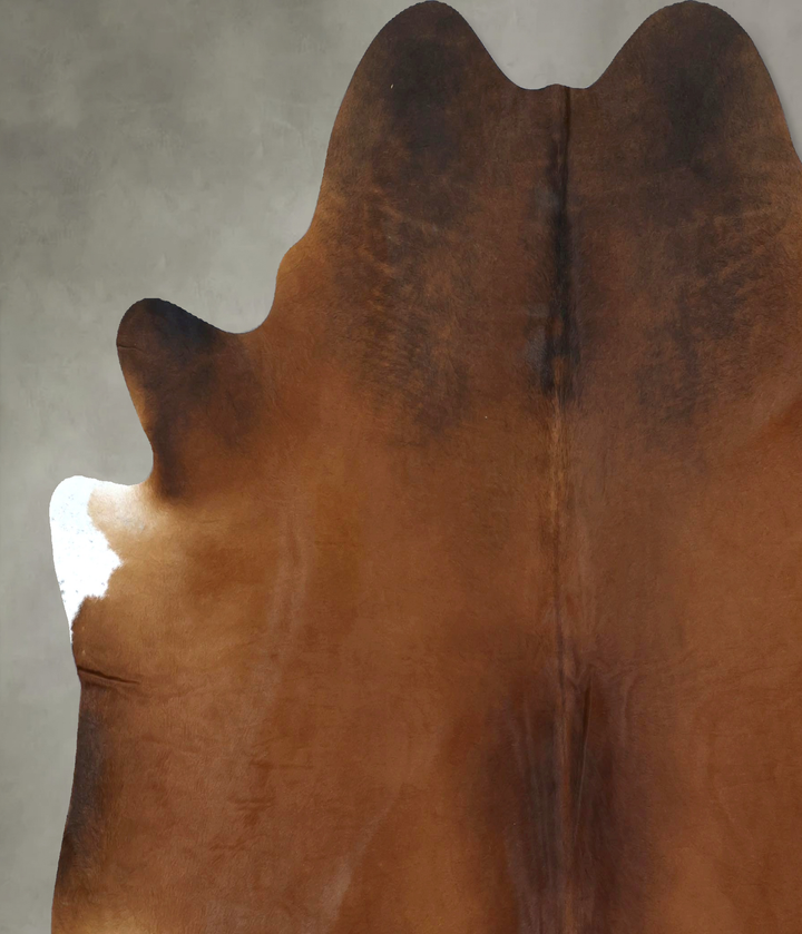 Warm Caramel XX-Large Brazilian Cowhide Rug 7'4"H x 7'0"W #B20939 by Hudson Hides