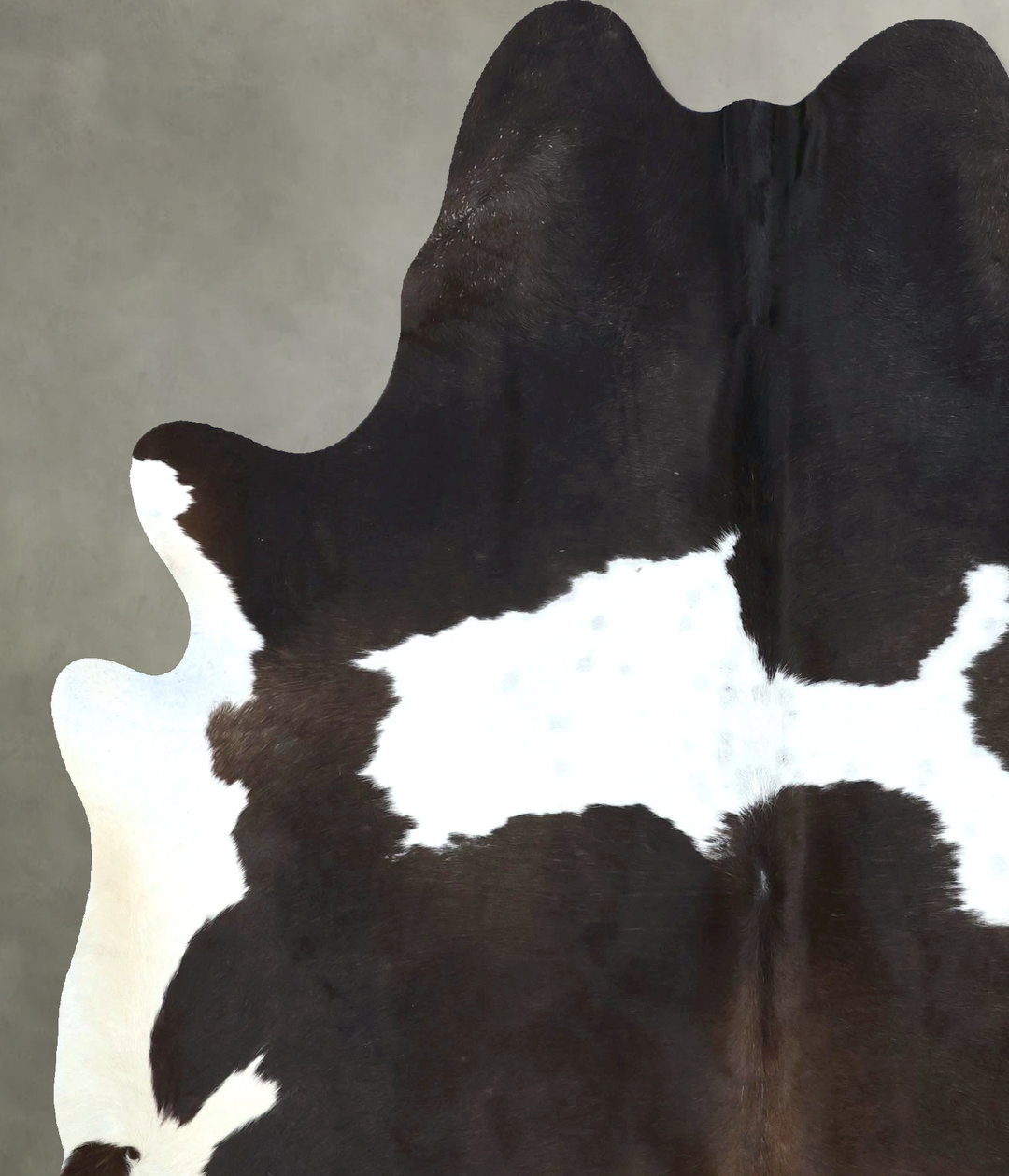 Chocolate and White X-Large Brazilian Cowhide Rug 7'4"H x 6'1"W #B2094