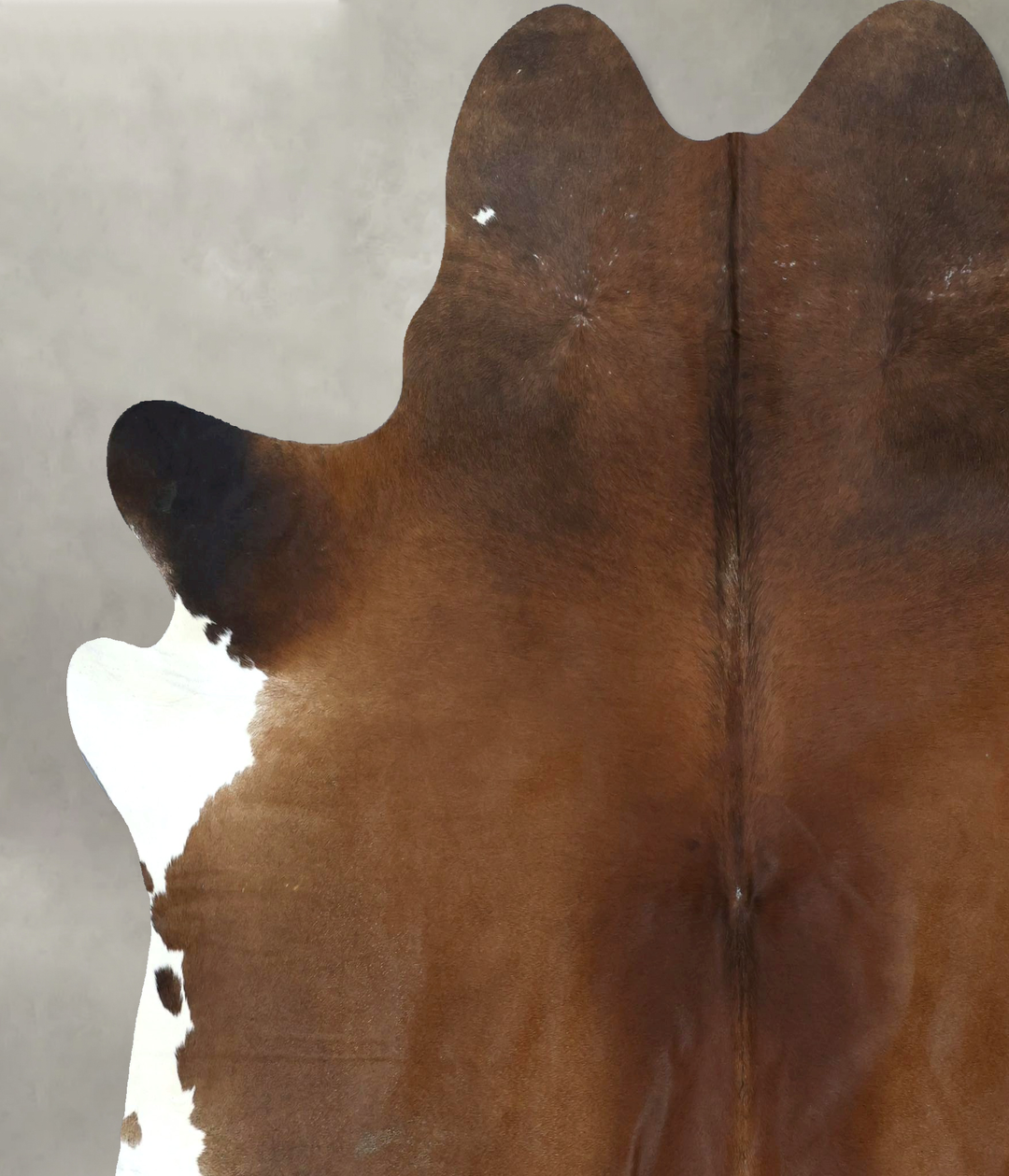 Warm Caramel XX-Large Brazilian Cowhide Rug 7'7"H x 6'11"W #B20944 by 