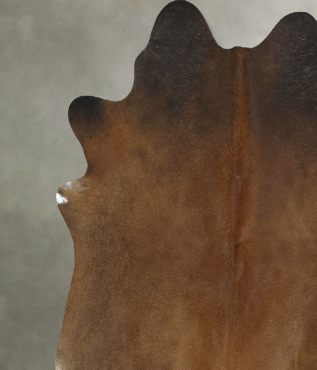 Warm Caramel X-Large Brazilian Cowhide Rug 7'3"H x 6'9"W #B20947 by Hu