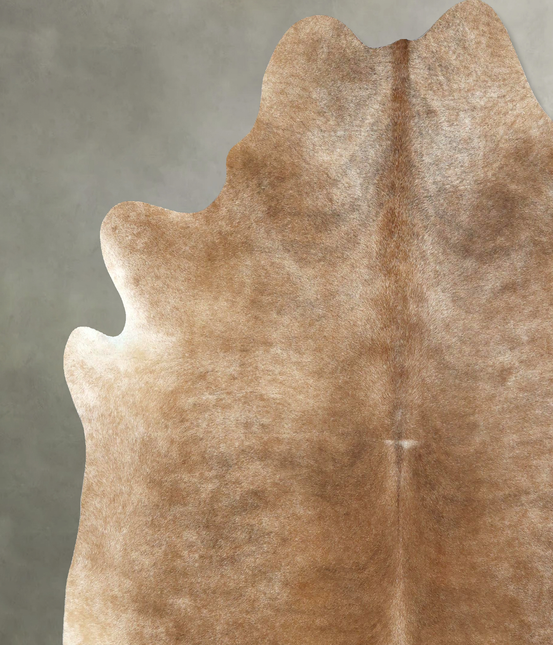 Light Caramel XX-Large Brazilian Cowhide Rug 8'1"H x 7'2"W #B20948 by 