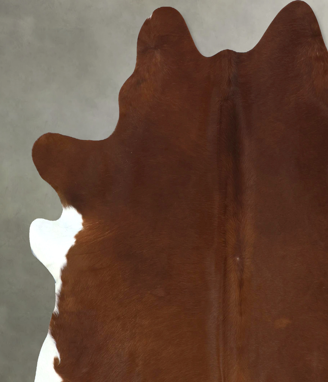 Solid Brown XX-Large Brazilian Cowhide Rug 7'9"H x 7'1"W #B20949 by Hu