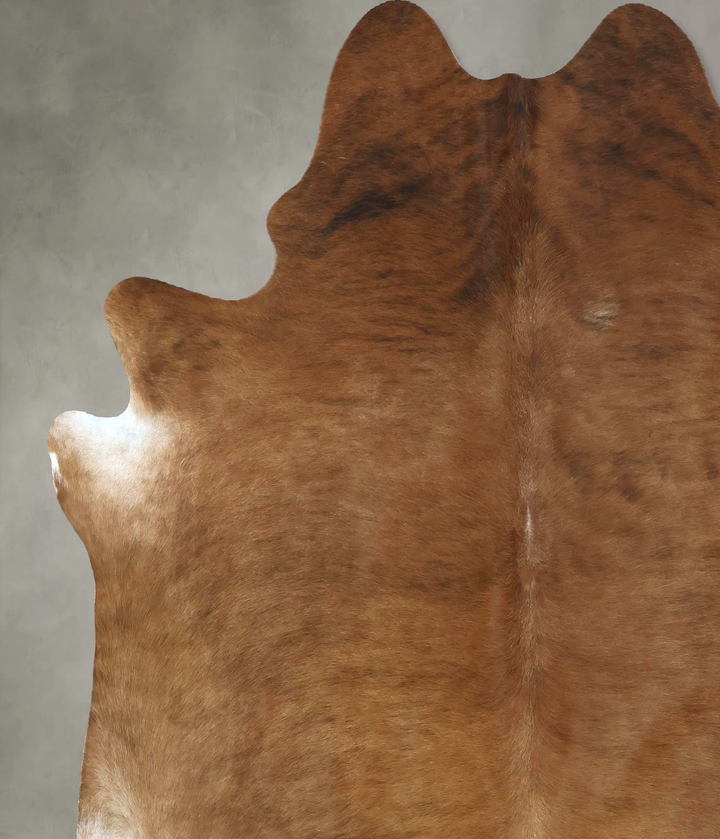 Medium Brindle X-Large Brazilian Cowhide Rug 7'2"H x 6'5"W #B20950 by Hudson Hides