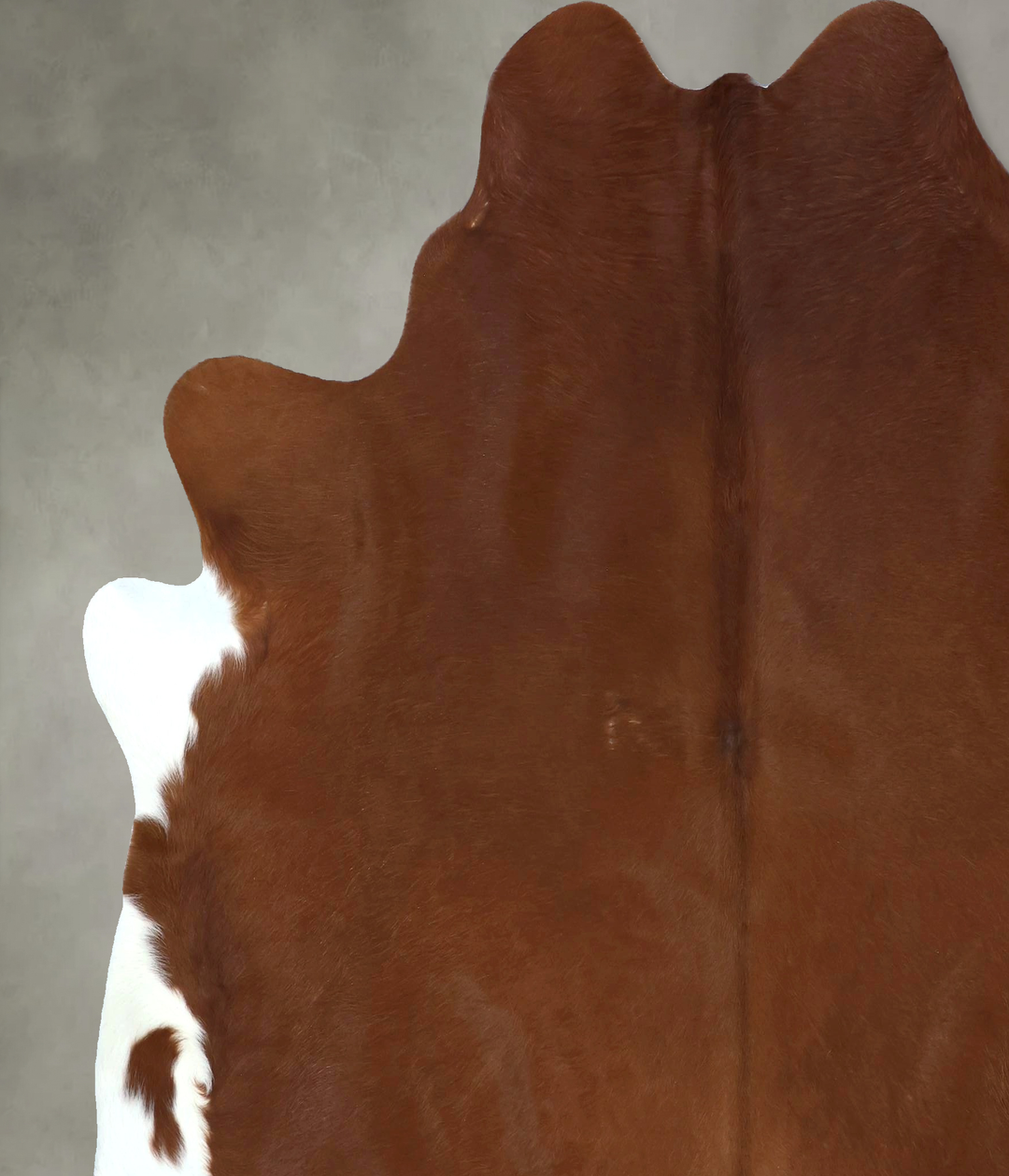 Solid Brown XX-Large Brazilian Cowhide Rug 7'6"H x 6'11"W #B20951 by H