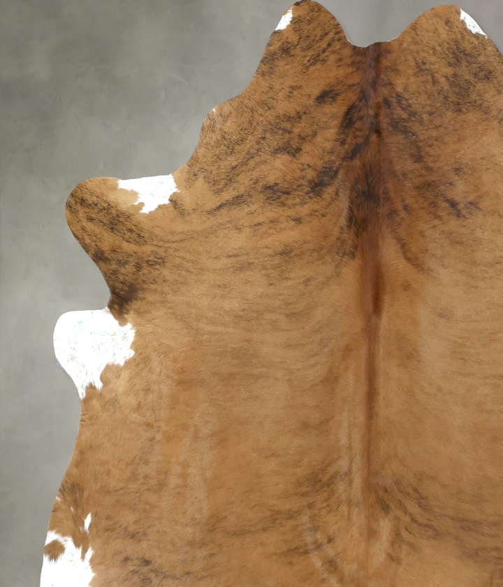 Medium Brindle X-Large Brazilian Cowhide Rug 7'5"H x 6'5"W #B20955 by Hudson Hides