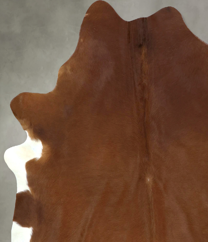 Solid Brown X-Large Brazilian Cowhide Rug 7'0"H x 6'4"W #B20960 by Hudson Hides