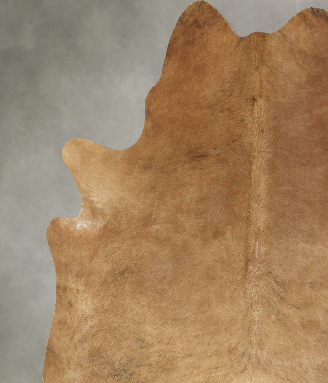 Solid Brown XX-Large Brazilian Cowhide Rug 7'9"H x 6'8"W #B20966 by Hu
