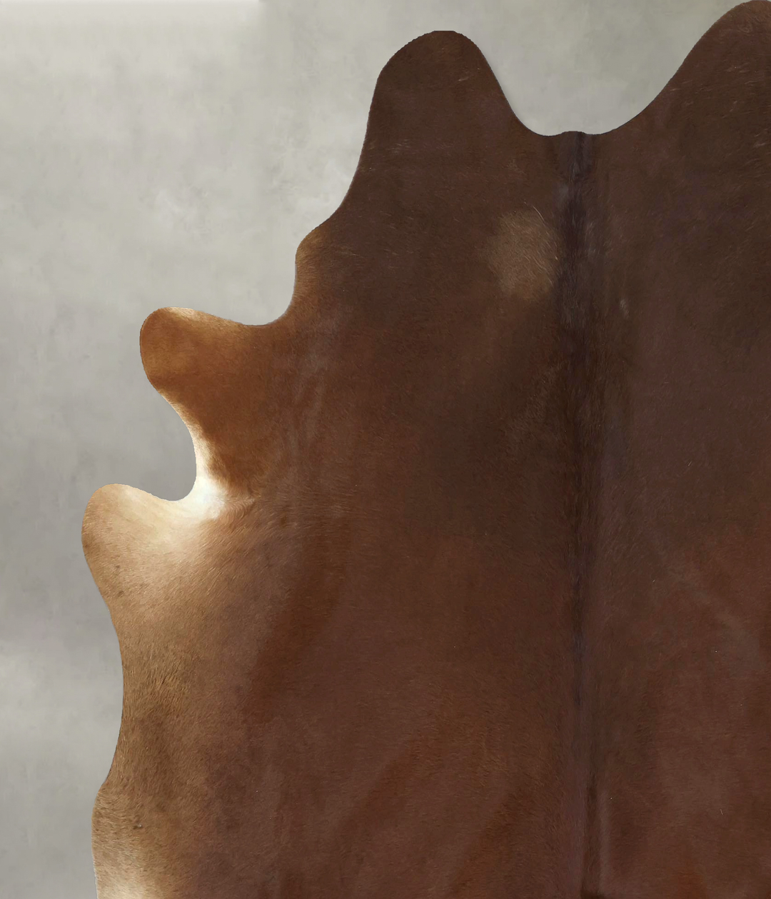 Solid Brown X-Large Brazilian Cowhide Rug 7'5"H x 6'7"W #B20970 by Hud