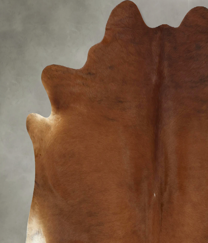 Solid Brown X-Large Brazilian Cowhide Rug 6'11"H x 6'9"W #B20971 by Hudson Hides