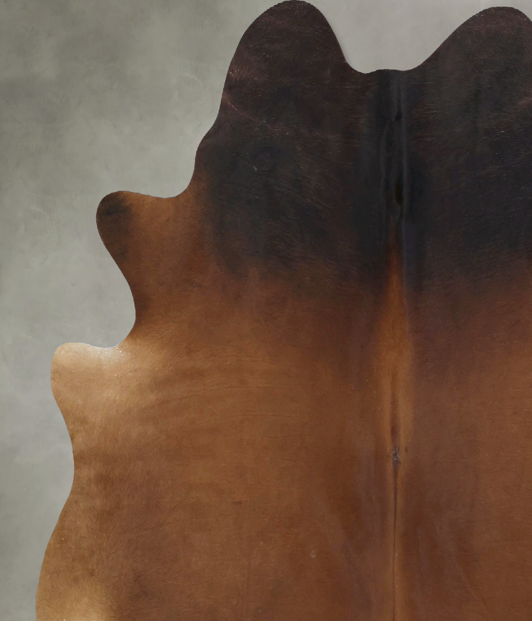 Warm Caramel X-Large Brazilian Cowhide Rug 6'11"H x 6'9"W #B20973 by H