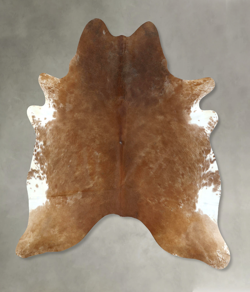 Warm Caramel XX-Large Brazilian Cowhide Rug 8'1"H x 7'0"W #B20974 by Hudson Hides