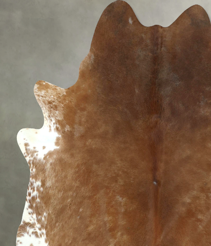 Warm Caramel XX-Large Brazilian Cowhide Rug 8'1"H x 7'0"W #B20974 by Hudson Hides