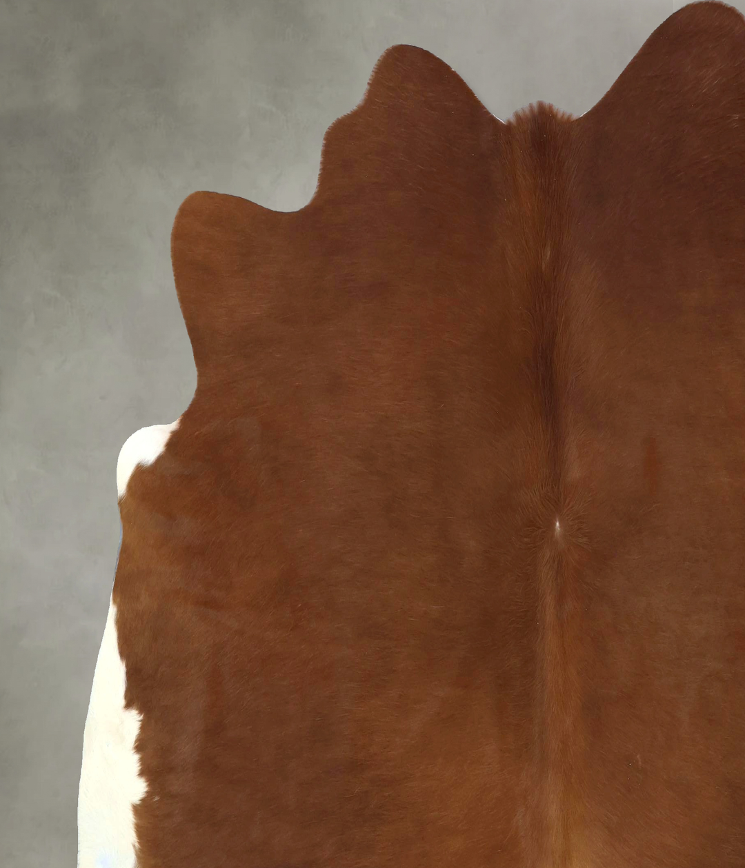 Solid Brown X-Large Brazilian Cowhide Rug 6'11"H x 7'1"W #B20978 by Hu
