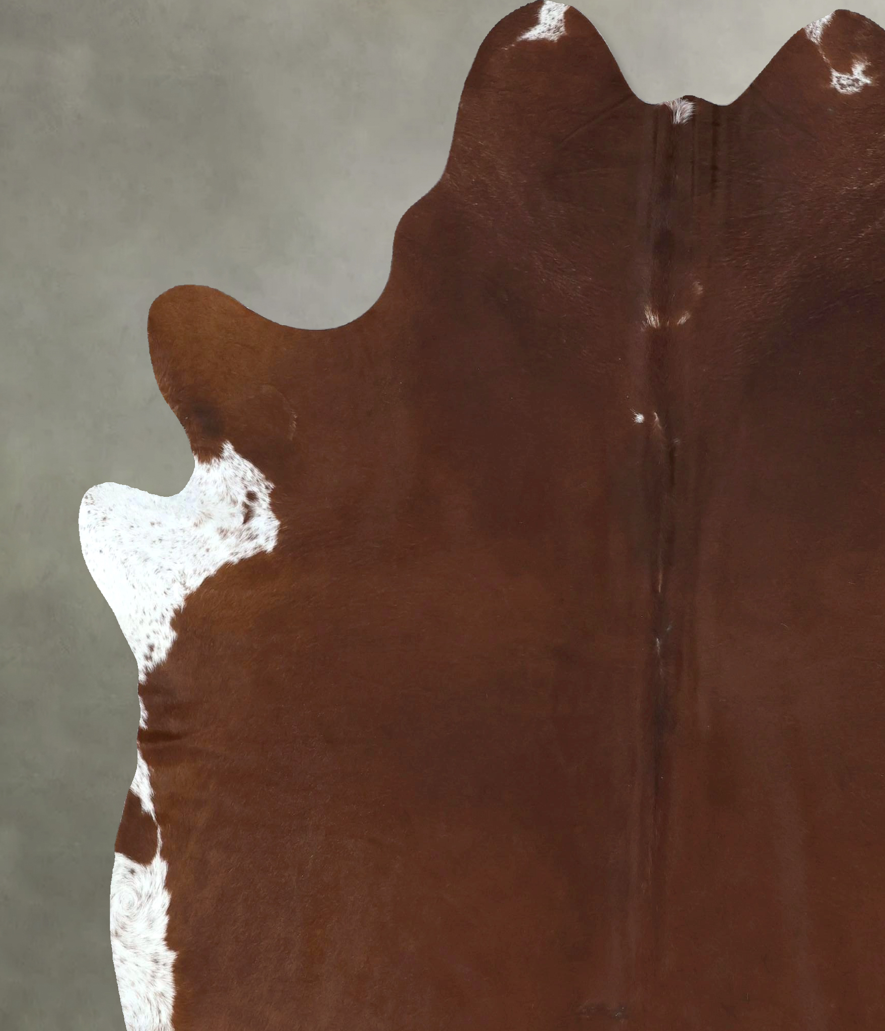 Brown and White Regular Cowhide Rug #B20981