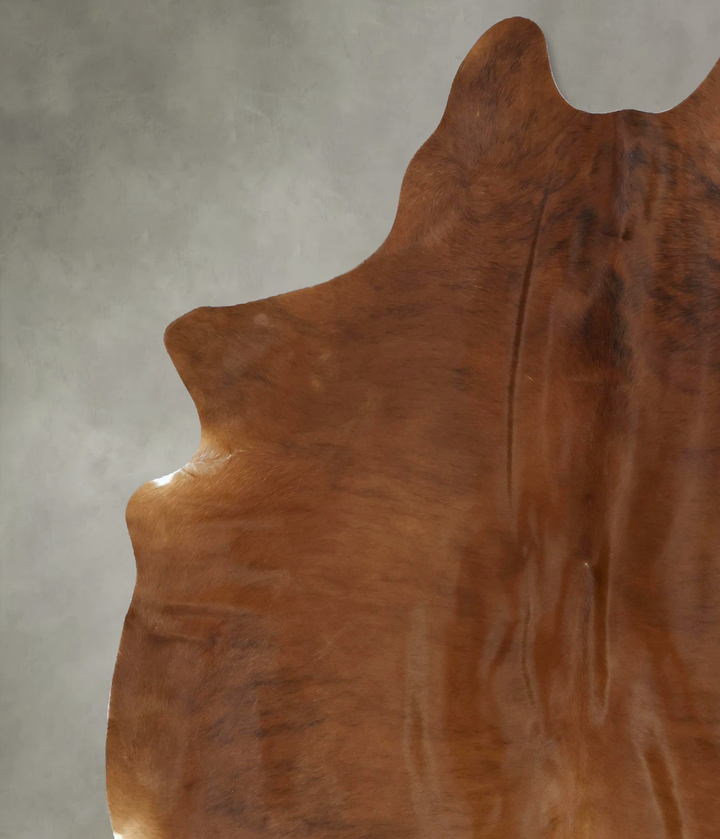 Medium Brindle X-Large Brazilian Cowhide Rug 7'11"H x 6'1"W #B20989 by Hudson Hides