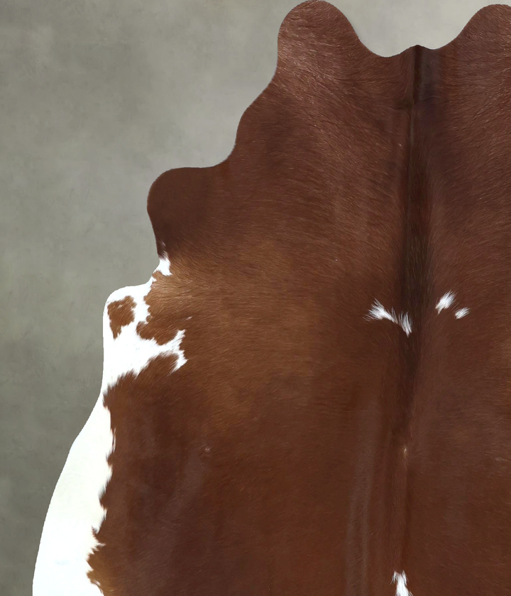 Brown and White Regular Large Brazilian Cowhide Rug 6'7"H x 6'0"W #B20990 by Hudson Hides