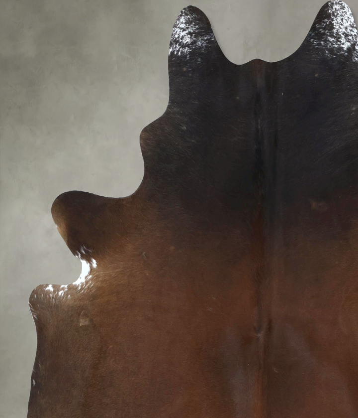 Warm Caramel X-Large Brazilian Cowhide Rug 7'4"H x 6'3"W #B20992 by Hudson Hides