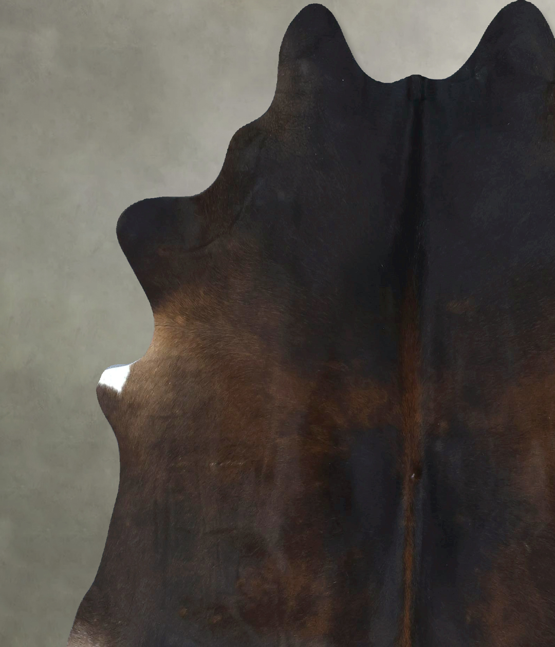 Chocolate X-Large Brazilian Cowhide Rug 7'0"H x 6'2"W #B20999 by Hudso