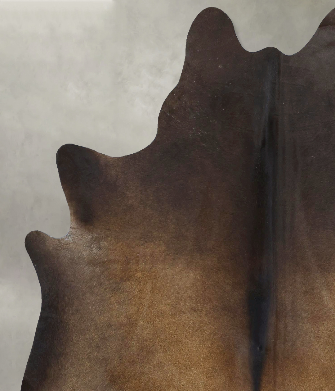 Chocolate X-Large Brazilian Cowhide Rug 6'11"H x 5'10"W #B21000 by Hud