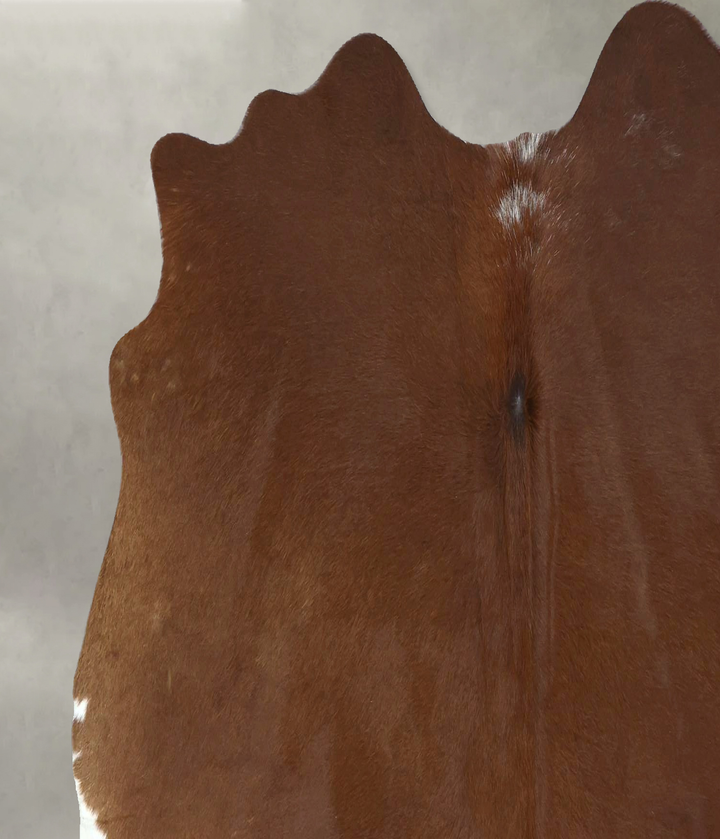 Solid Brown Large Brazilian Cowhide Rug 5'3"H x 5'10"W #B21004 by Hudson Hides