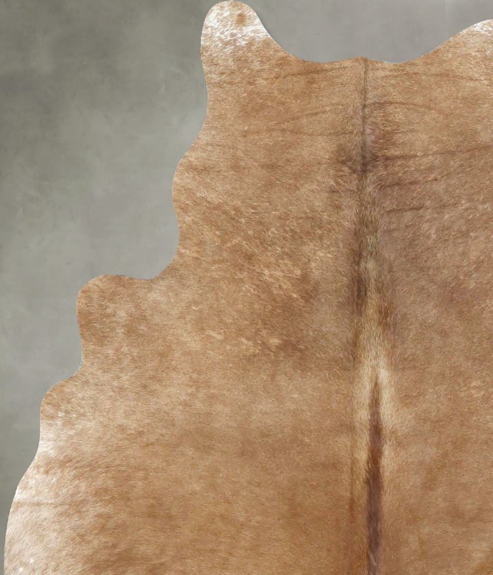 Solid Brown Large Brazilian Cowhide Rug 6'9"H x 5'1"W #B21014 by Hudson Hides