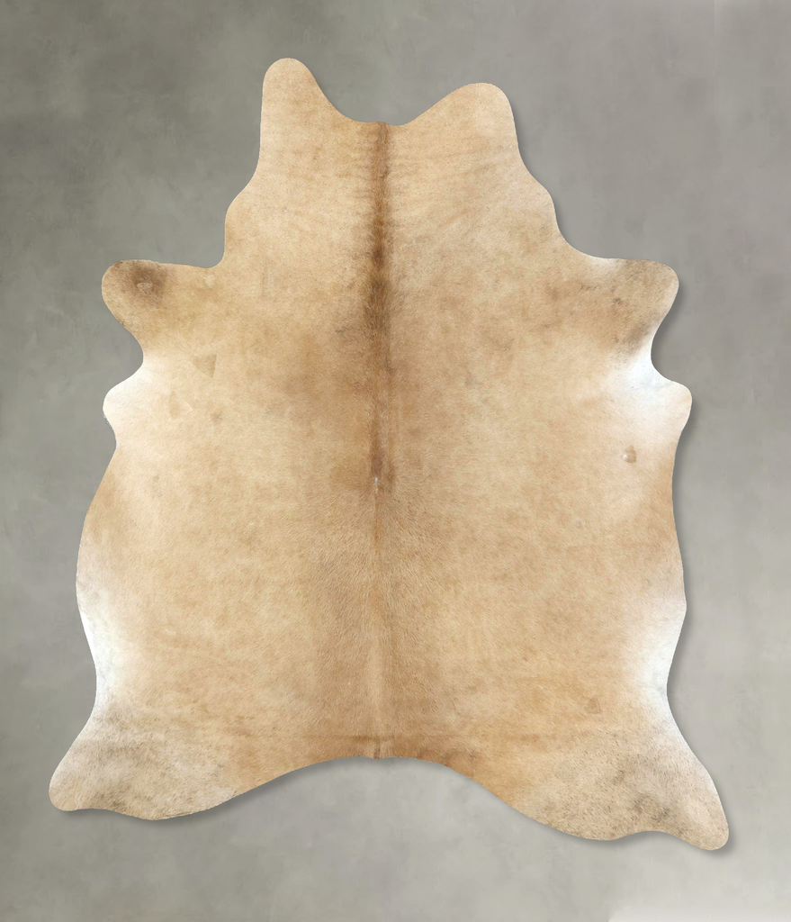 Palomino X-Large Brazilian Cowhide Rug 7'4"H x 6'0"W #B21017 by Hudson Hides