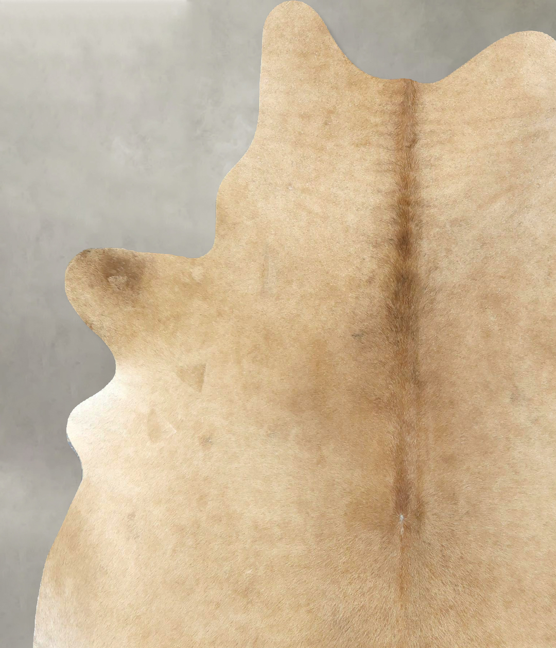 Palomino X-Large Brazilian Cowhide Rug 7'4"H x 6'0"W #B21017 by Hudson