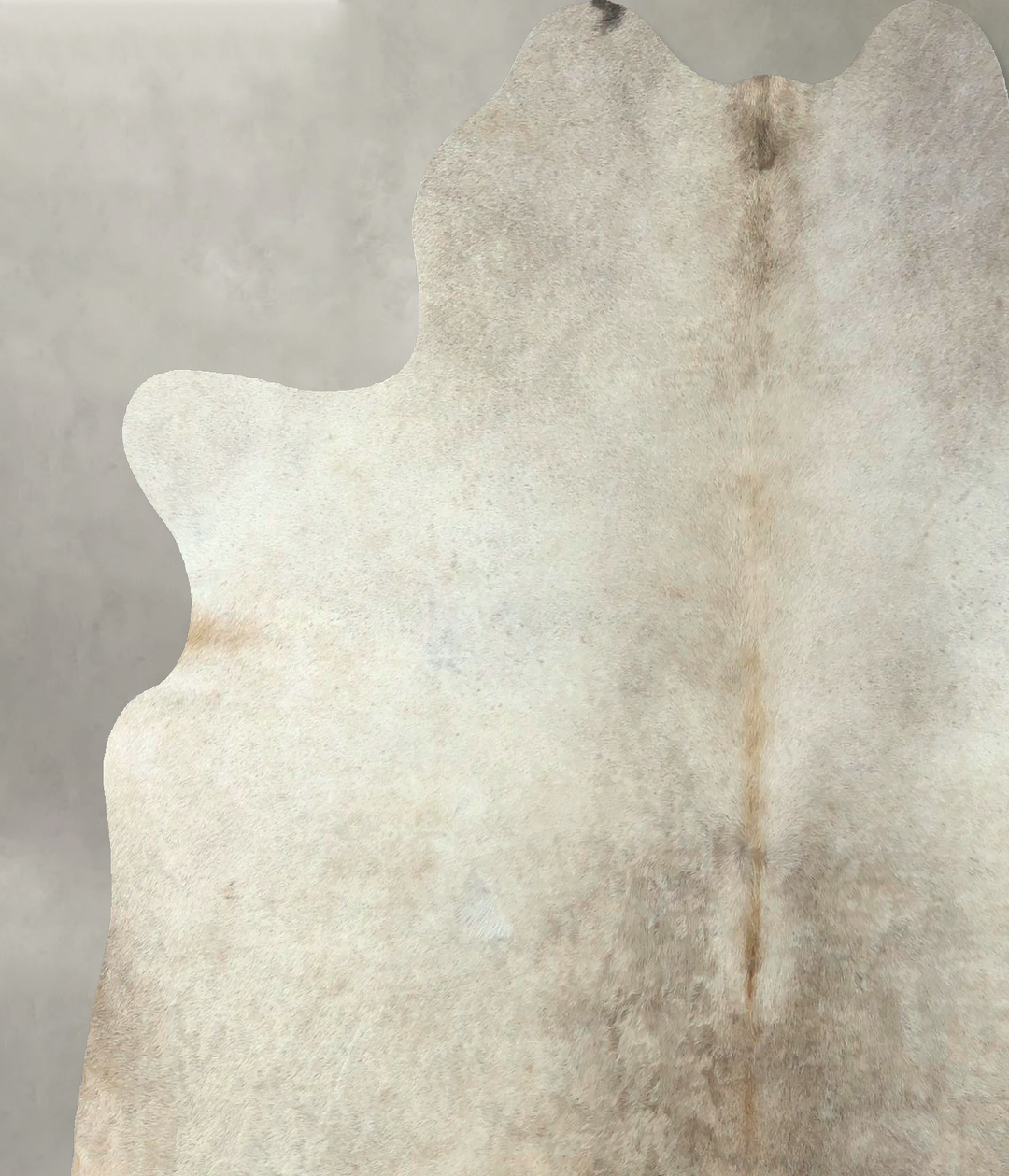 Champagne Large Brazilian Cowhide Rug 6'2"H x 5'8"W #B21022 by Hudson 