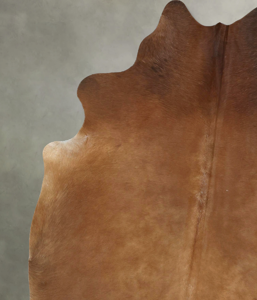 Solid Brown X-Large Brazilian Cowhide Rug 7'4"H x 5'11"W #B21024 by Hu