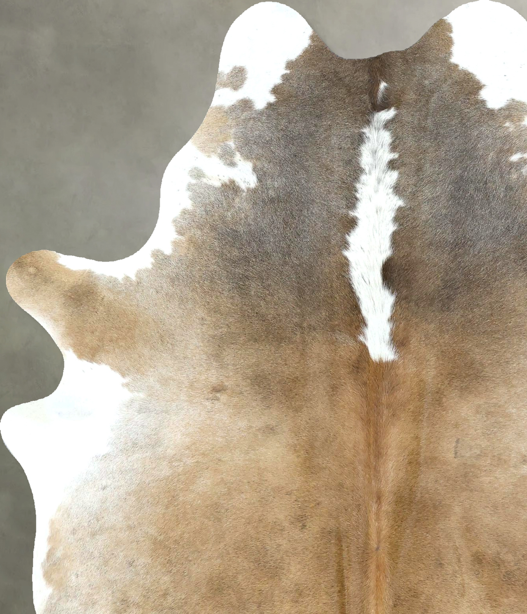 Grey with Beige Large Brazilian Cowhide Rug 6'9"H x 5'3"W #B21035 by H