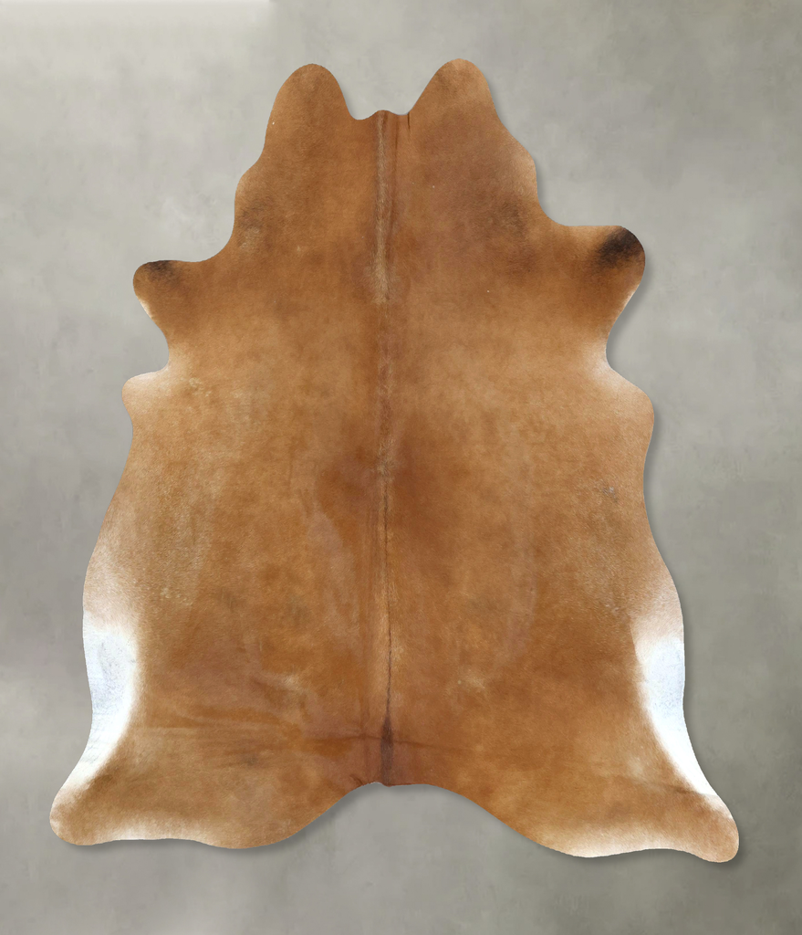 Solid Brown X-Large Brazilian Cowhide Rug 6'11"H x 6'3"W #B21038 by Hudson Hides
