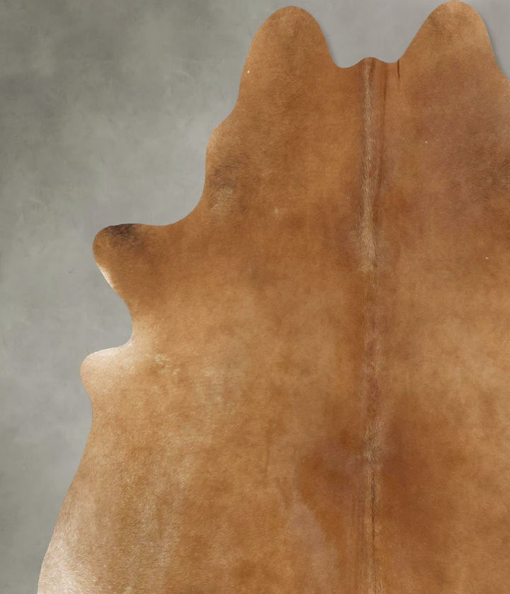 Solid Brown X-Large Brazilian Cowhide Rug 6'11"H x 6'3"W #B21038 by Hudson Hides