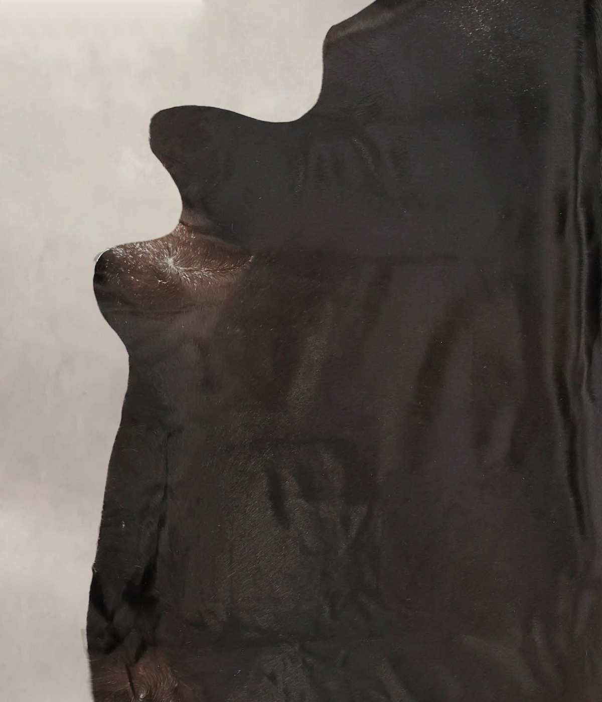 Solid Black Cowhide Rug #B2104