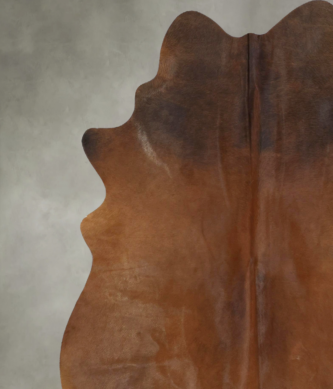 Warm Caramel X-Large Brazilian Cowhide Rug 7'4"H x 6'2"W #B21042 by Hu