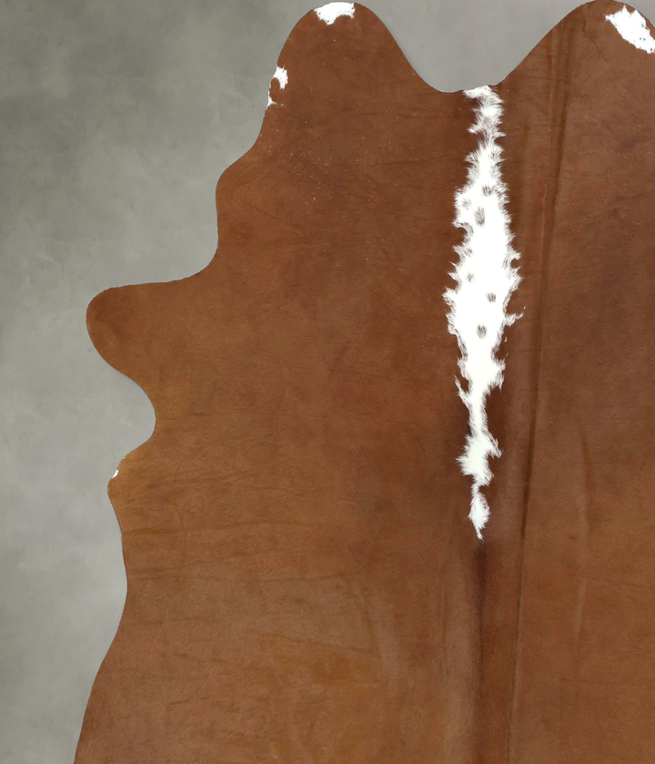 Brown and White Regular X-Large Brazilian Cowhide Rug 7'3"H x 5'9"W #B21044 by Hudson Hides