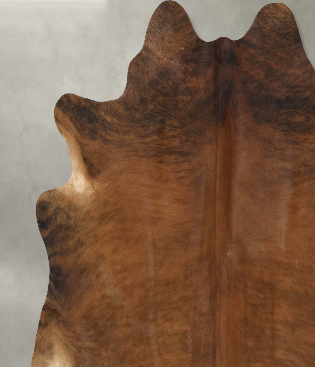 Medium Brindle X-Large Brazilian Cowhide Rug 6'6"H x 7'1"W #B21045 by 