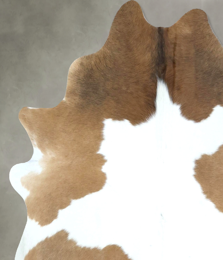 Brown and White Large Brazilian Cowhide Rug 6'0"H x 5'0"W #B21049 by Hudson Hides