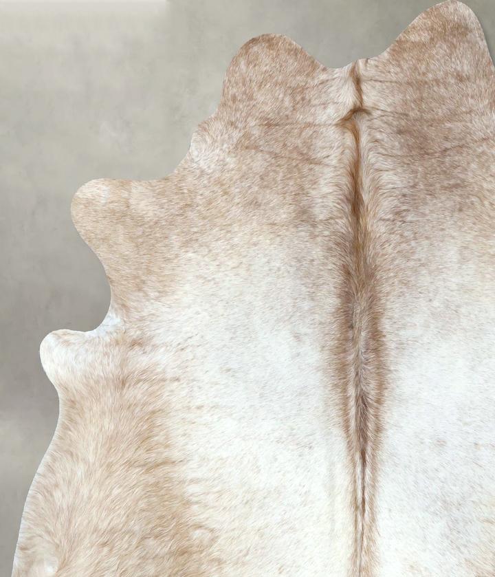 Light Caramel X-Large Brazilian Cowhide Rug 7'1"H x 6'2"W #B21051 by Hudson Hides