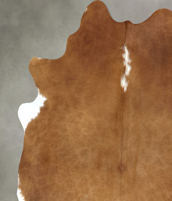 Brown and White Regular X-Large Brazilian Cowhide Rug 7'3"H x 6'3"W #B21067 by Hudson Hides