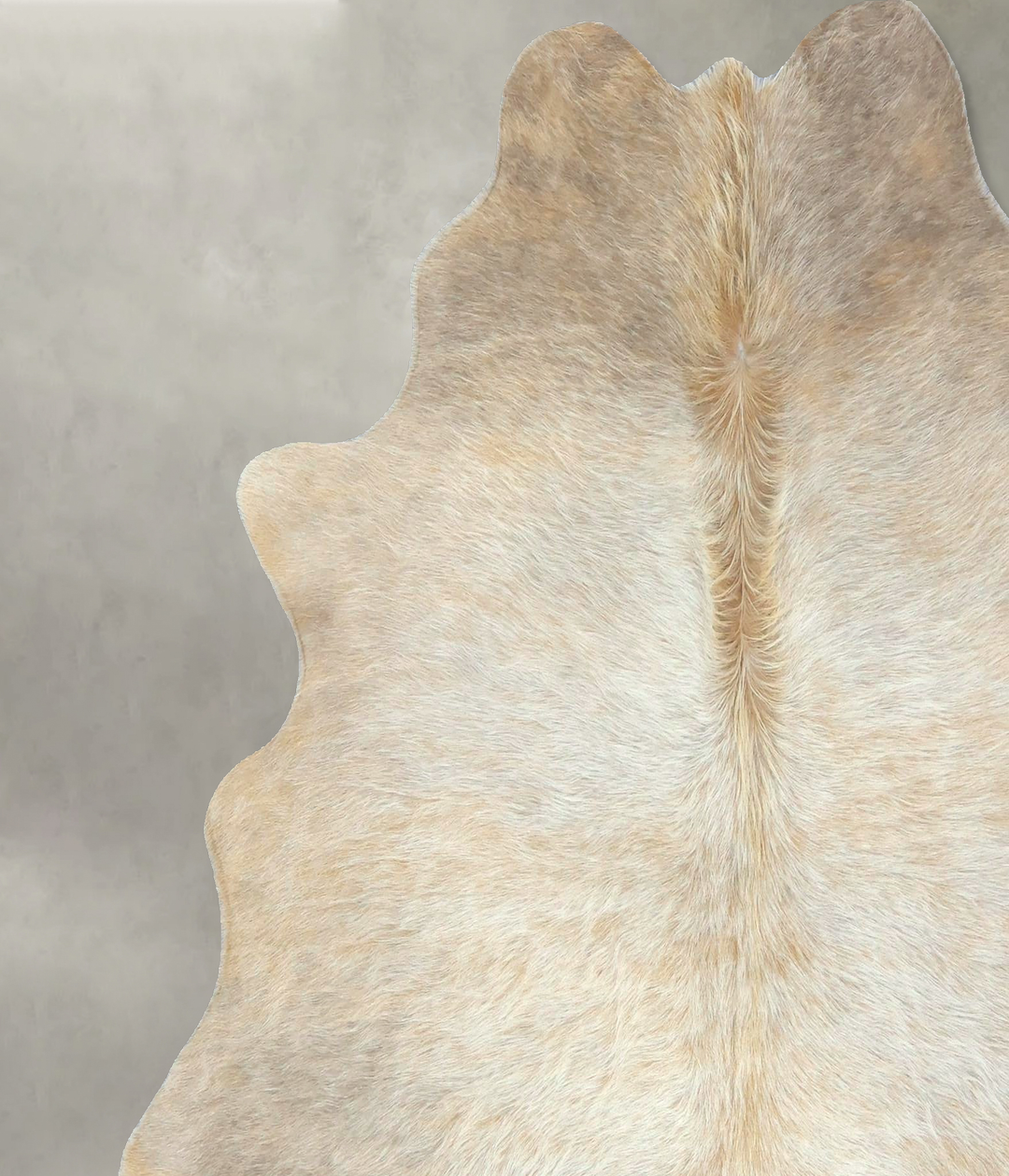 Ivory with Beige Large Brazilian Cowhide Rug 6'3"H x 6'1"W #B21068 by 