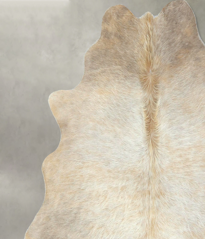 Ivory with Beige Large Brazilian Cowhide Rug 6'3"H x 6'1"W #B21068 by Hudson Hides