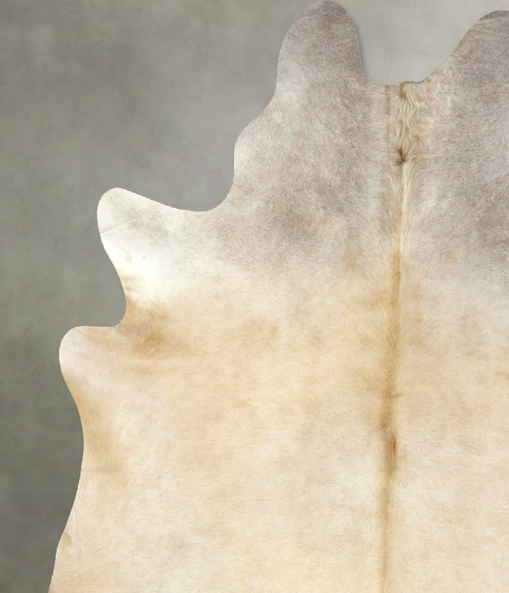 Palomino X-Large Brazilian Cowhide Rug 7'5"H x 6'1"W #B21069 by Hudson Hides