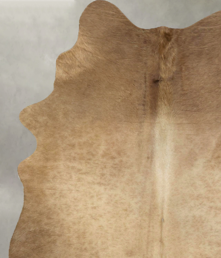 Champagne Large Brazilian Cowhide Rug 7'8"H x 5'0"W #B21074 by Hudson Hides