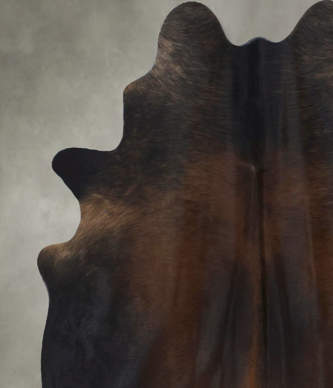 Chocolate Large Brazilian Cowhide Rug 6'3"H x 5'1"W #B21077 by Hudson 