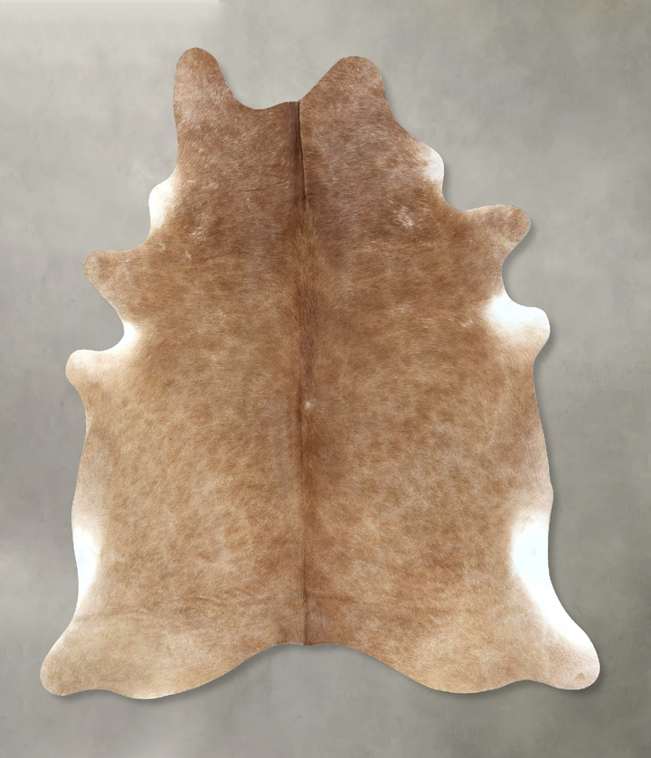 Light Caramel Large Brazilian Cowhide Rug 6'10"H x 5'6"W #B21081 by Hudson Hides