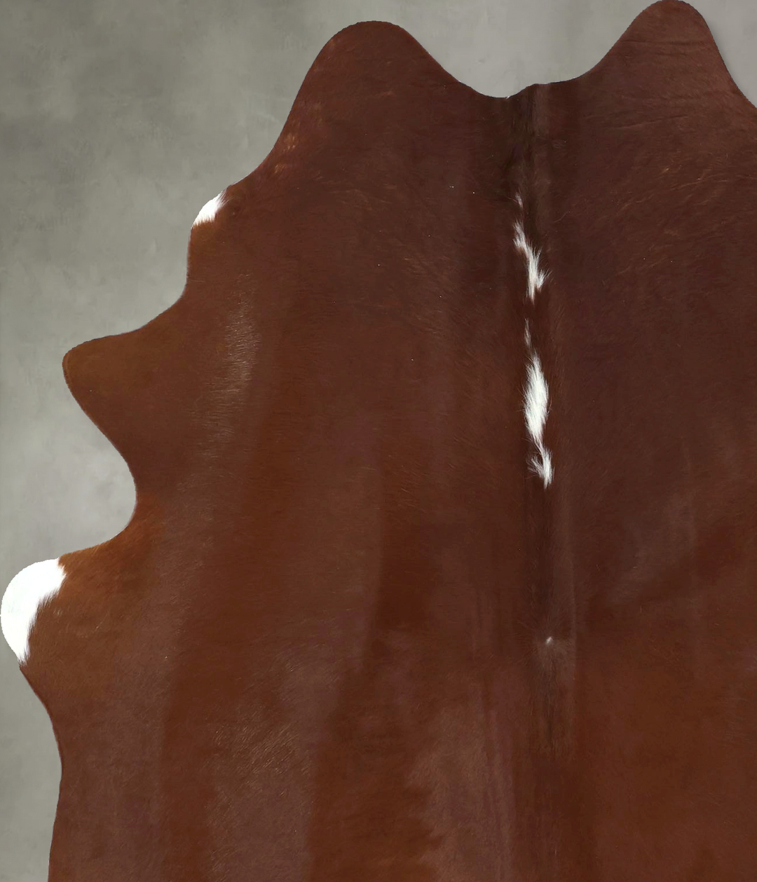 Brown and White Regular Large Brazilian Cowhide Rug 6'8"H x 5'1"W #B21