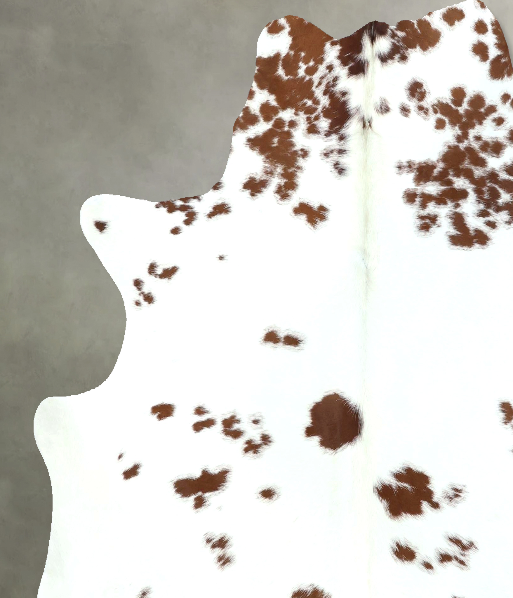 Brown and White Regular Cowhide Rug #B21085