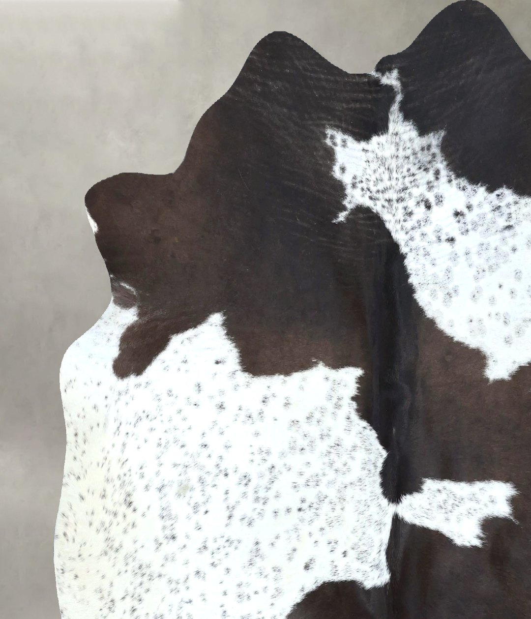 Chocolate and White Large Brazilian Cowhide Rug 6'1"H x 5'11"W #B21089